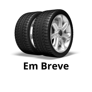seguro-pneus
